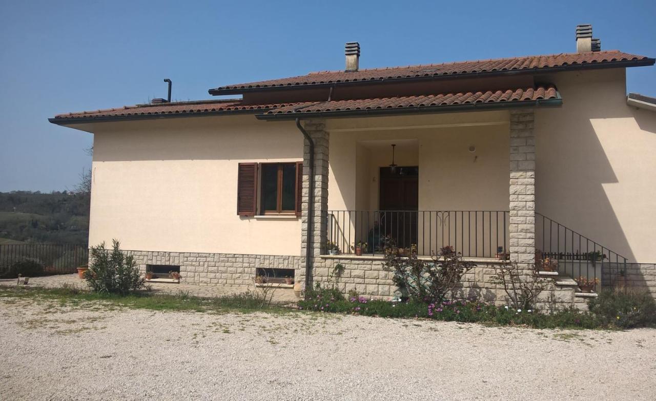 Agriturismo La Vite E L'Ulivo Baschi Exterior foto